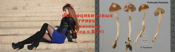 хмурый Баксан